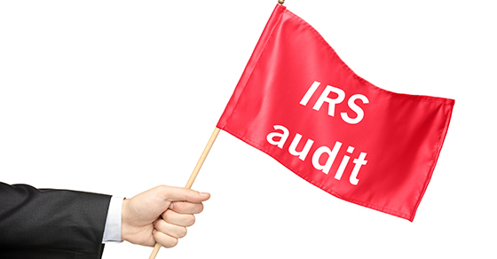IRS Audit Techniques Guides Provide Clues to What May Come Up If Your Business is Audited