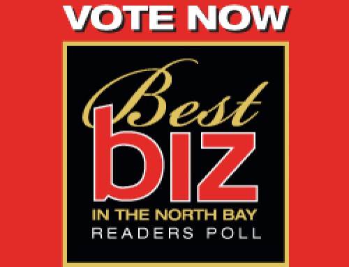 Vote Now for Your Favorite Local Businesses