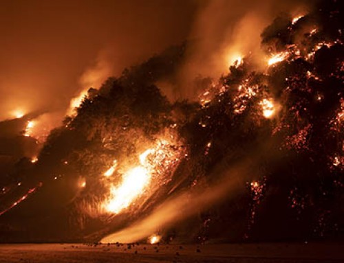 California Tax Updates Regarding Wildfire Victims
